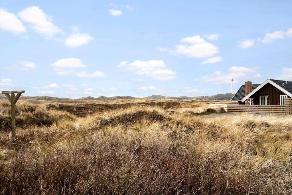 a house in the middle of a field of grass at 3395-Hvide-Sande-Fyrmarken-33 in Hvide Sande