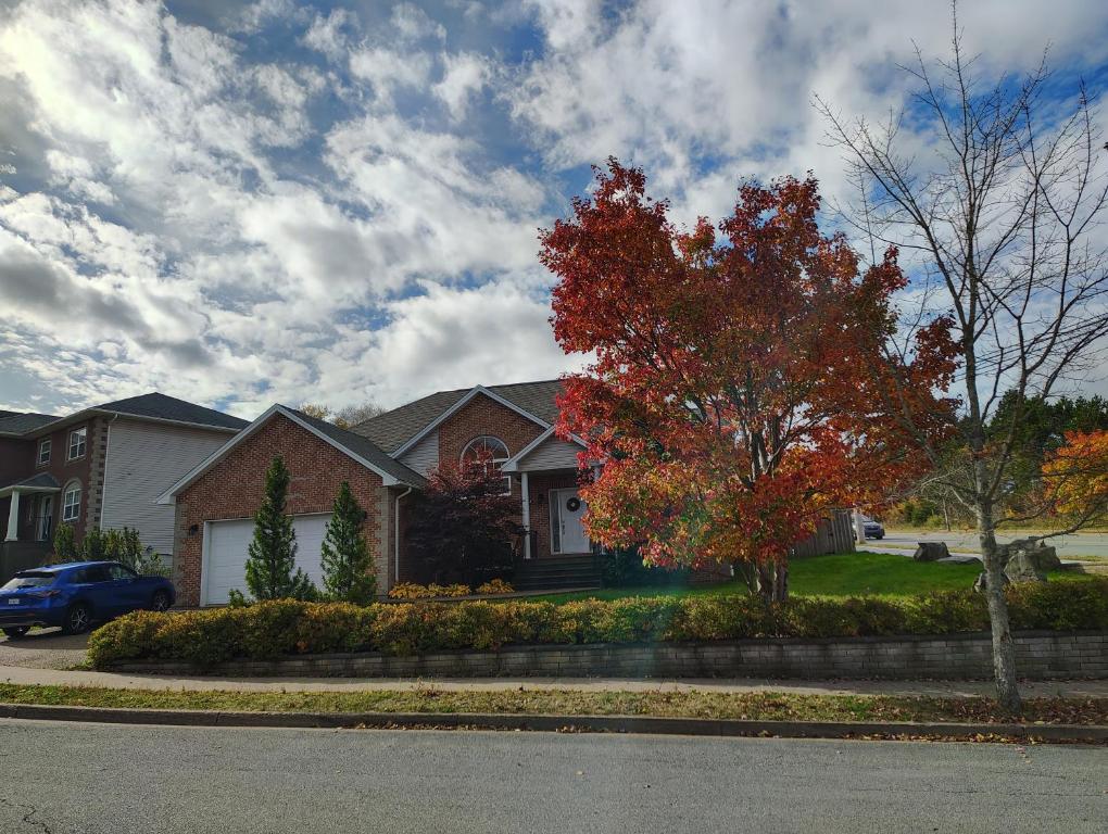 une maison avec un arbre devant dans l'établissement Breeze inn No1, à Halifax