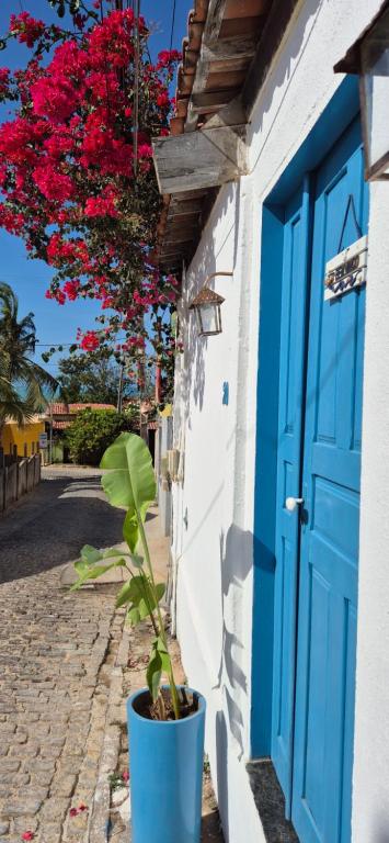 a plant in a blue pot next to a blue door at Suíte Mykonos Canoa Quebrada- Ao lado da Broadway in Aracati