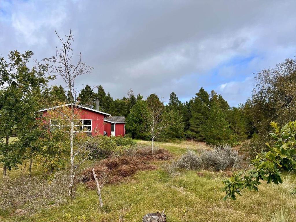 a red house on top of a hill with trees at 0210-Romo-Vestergardsvej-10 in Høm