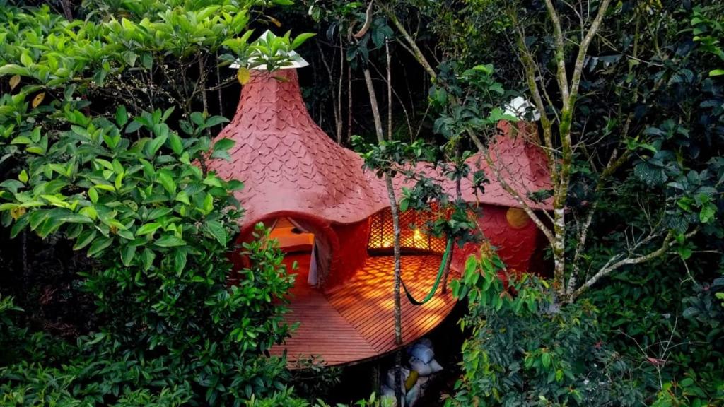 Gallery image of Taibará Refugio Natural in San Carlos
