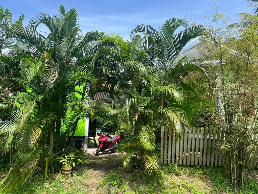 a group of palm trees in front of a fence at Sukanya 