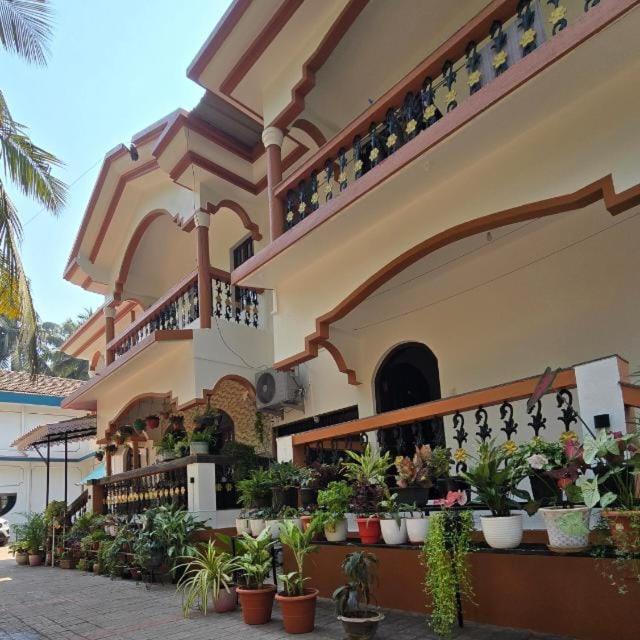 a building with a bunch of potted plants at Monica guest house in Varca
