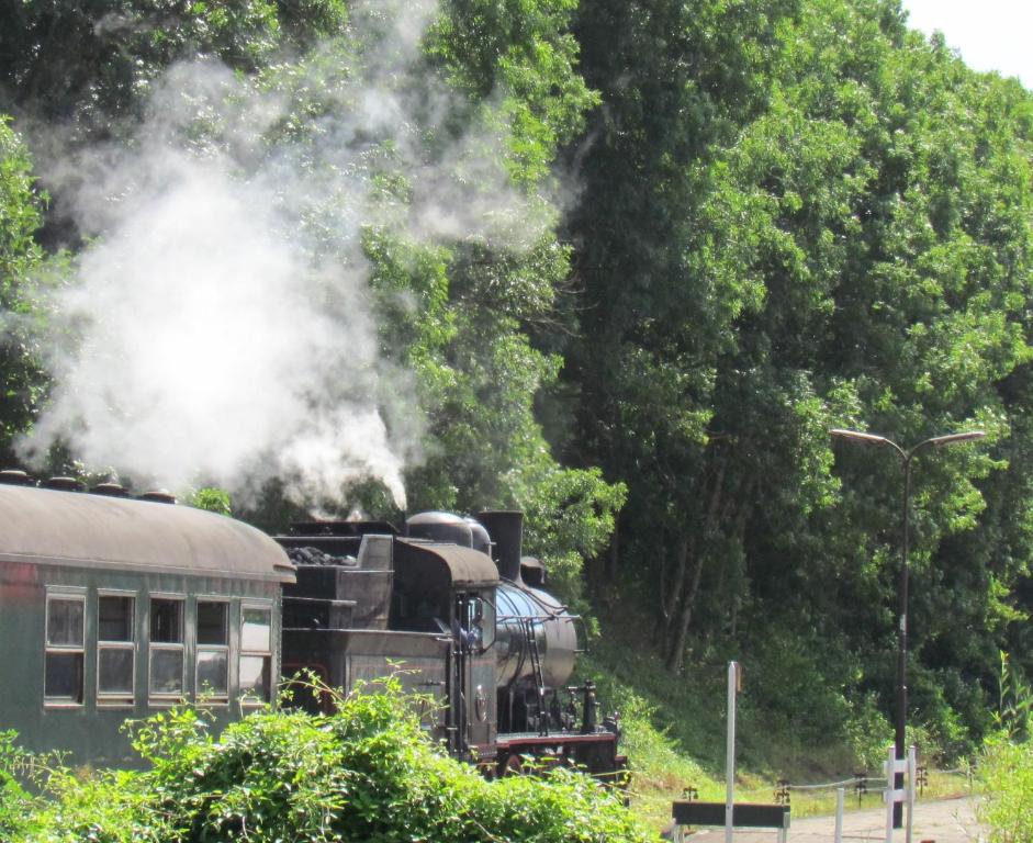 een stoomtrein rijdt over de rails bij Stoomzicht in Wijlre