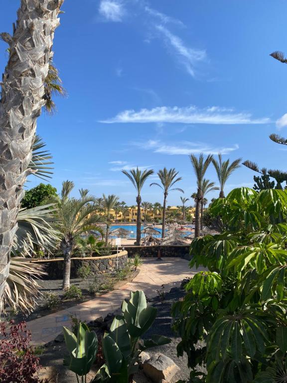 Apartamentos Corralejo Playa Oasis