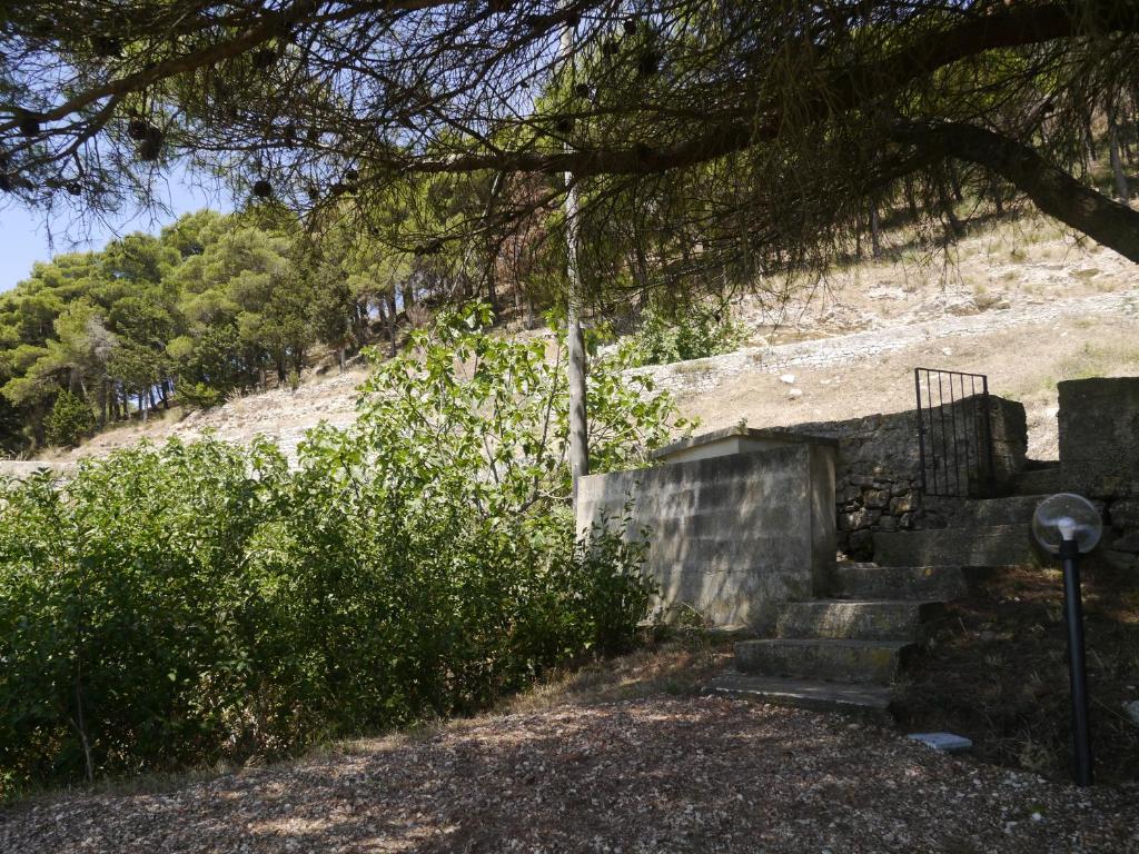 Vonkajšia záhrada v ubytovaní Casa nel Vigneto Erice