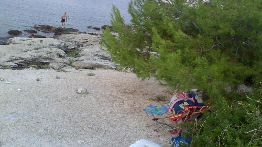 Príroda v okolí apartmánu
