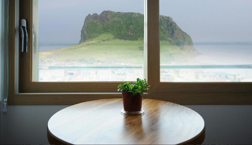 a potted plant sitting on a table in front of a window at Seongsanpo love Pension in Seogwipo