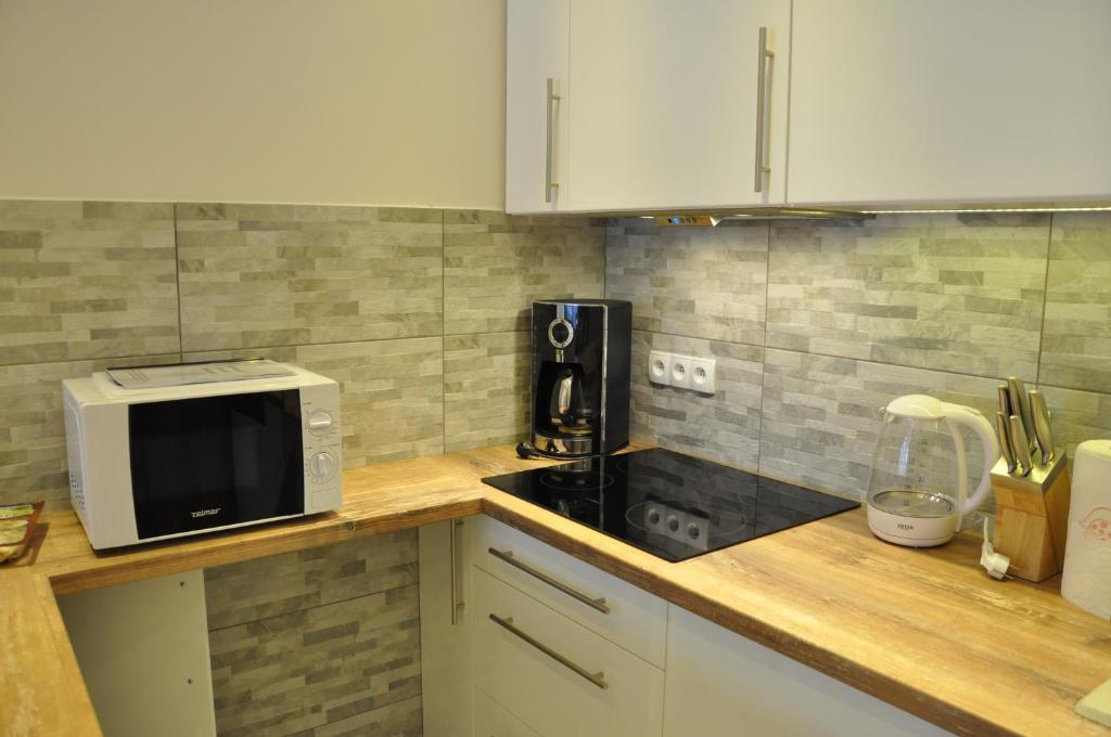 Kuchyňa alebo kuchynka v ubytovaní Apartament Stalowy Kościelisko Sywarne