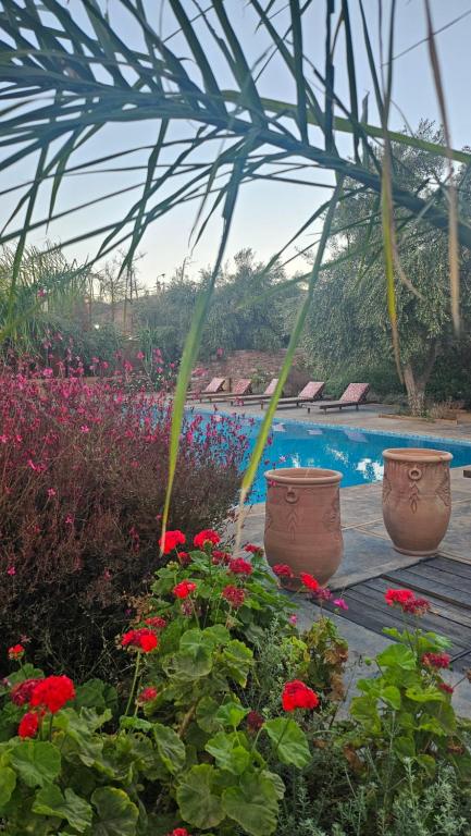 Bazén v ubytování Ecolodge Dar bouhouta nebo v jeho okolí