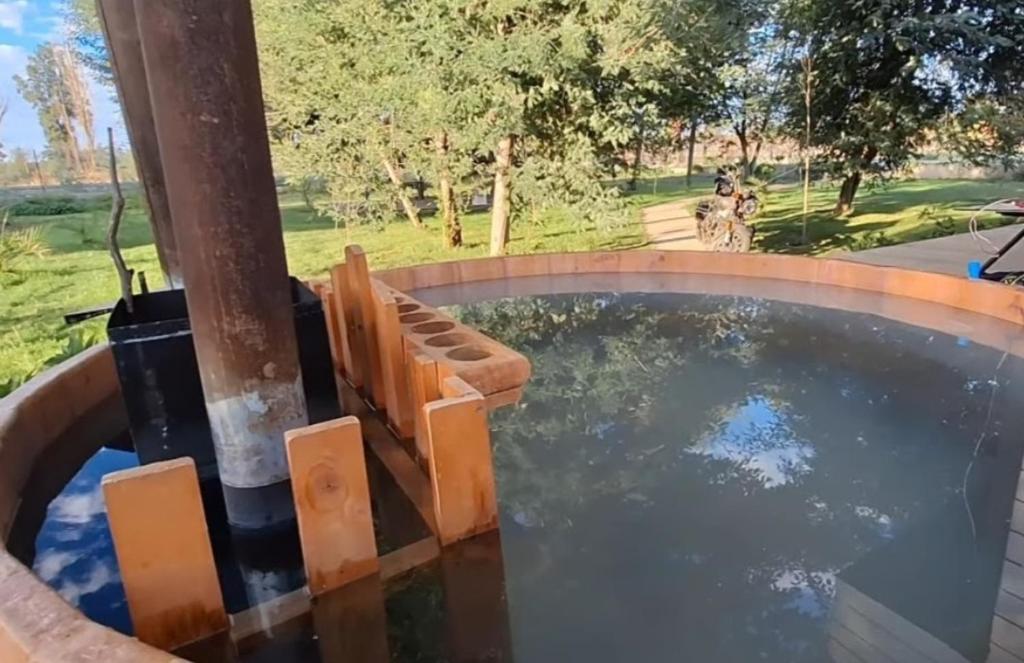 a pool of water with a dog in the background at Piscinas y cabañas llancanao in Linares