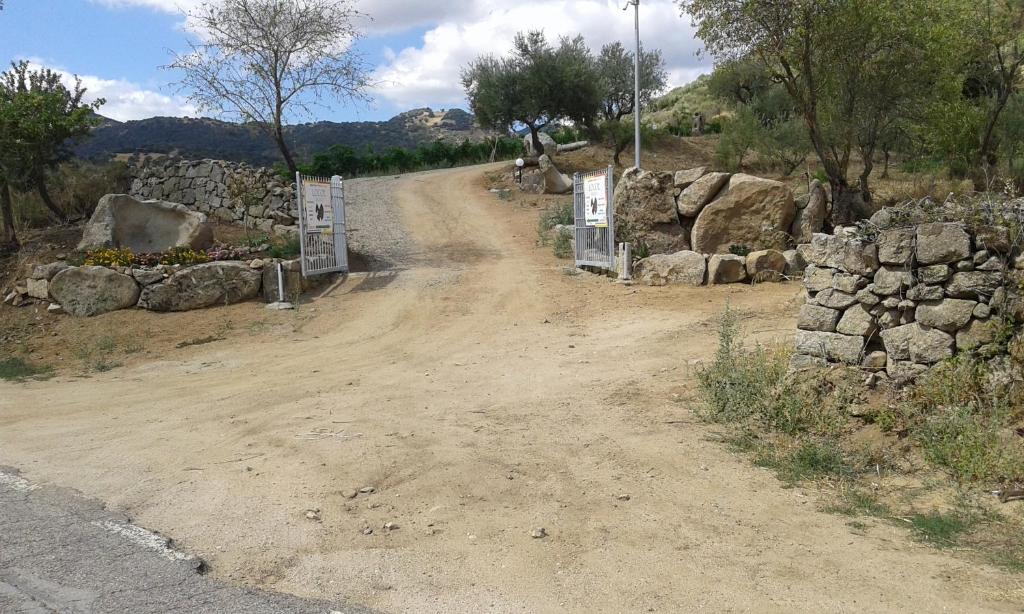 una strada sterrata vicino a un muro di pietra di Agriturismo Locoe a Oliena