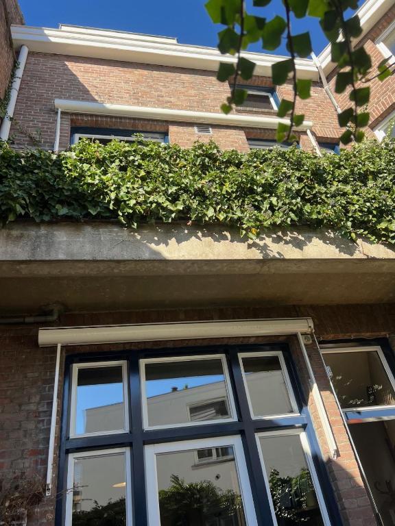 Logis Pastis - Resim 5