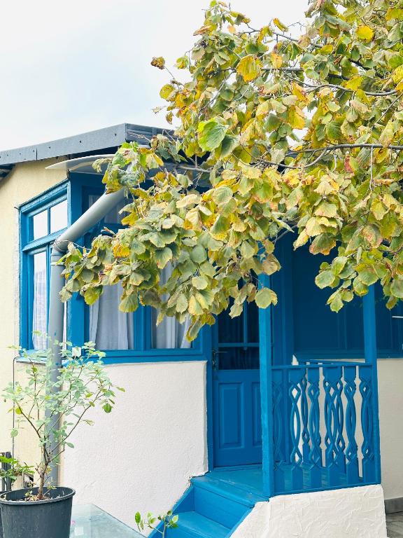 فضای داخلی Cozy Blue apartment در تفلیس - تصویر ۳