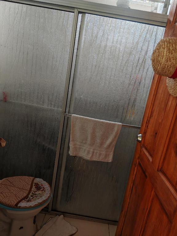 a bathroom with a shower with a toilet and a towel at Black Widow in Horquetas