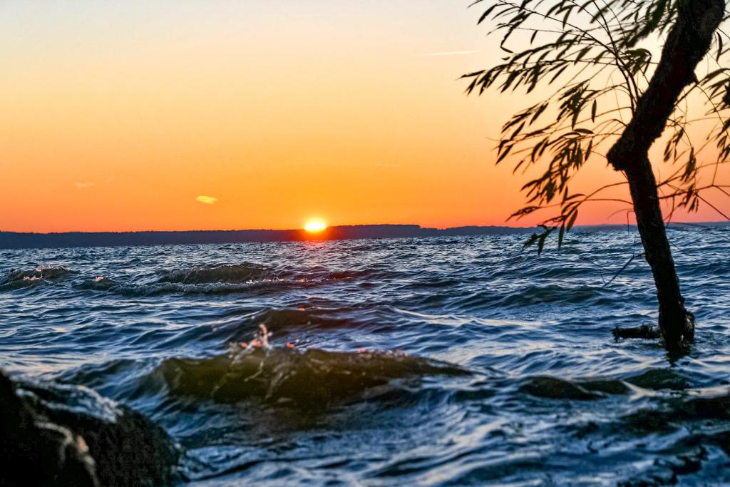 レーベルにあるElegantes & modernes Apartment NeLi mit Terrasse, 100m zum Hafen Röbel Müritzの手前の木と水上の夕日