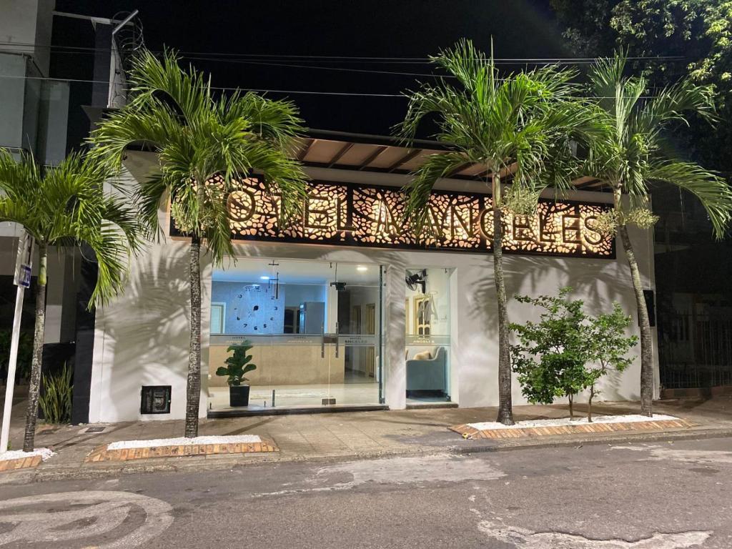 a building with palm trees in front of it at Hotel angeles in Estación El Salto