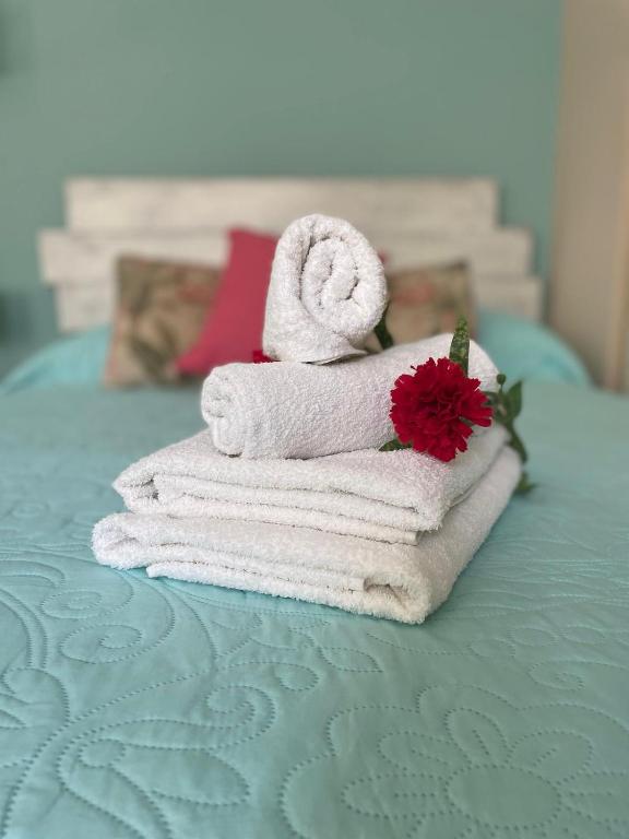 Cuarta Revuelta Alquiler - 14