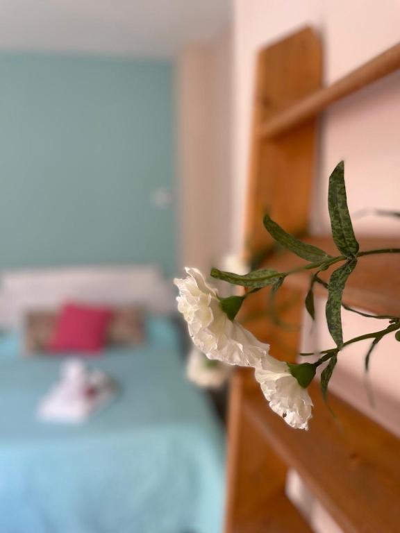 Cuarta Revuelta Alquiler - 17