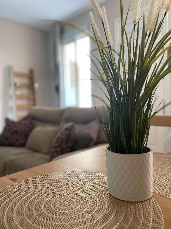 Cuarta Revuelta Alquiler - 18