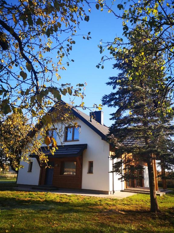 a white house with a tree in the foreground at Folwark Hańcza in Wigry