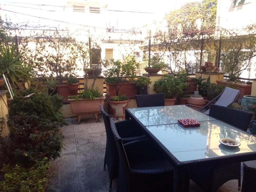 Κήπος έξω από το bed and breakfast La Terrazza