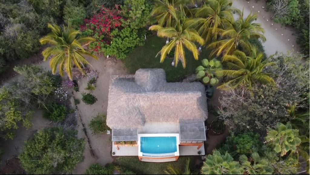 Πισίνα στο ή κοντά στο Beach House - Puerto Escondido Gated Community
