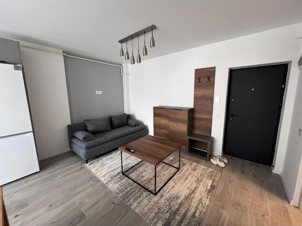 Posezení v ubytování Enjoy Daliei Apartment