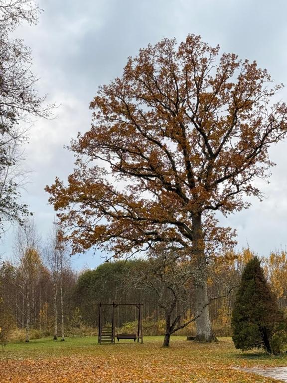 Φυσικό τοπίο κοντά σε αυτή η παραθεριστική κατοικία