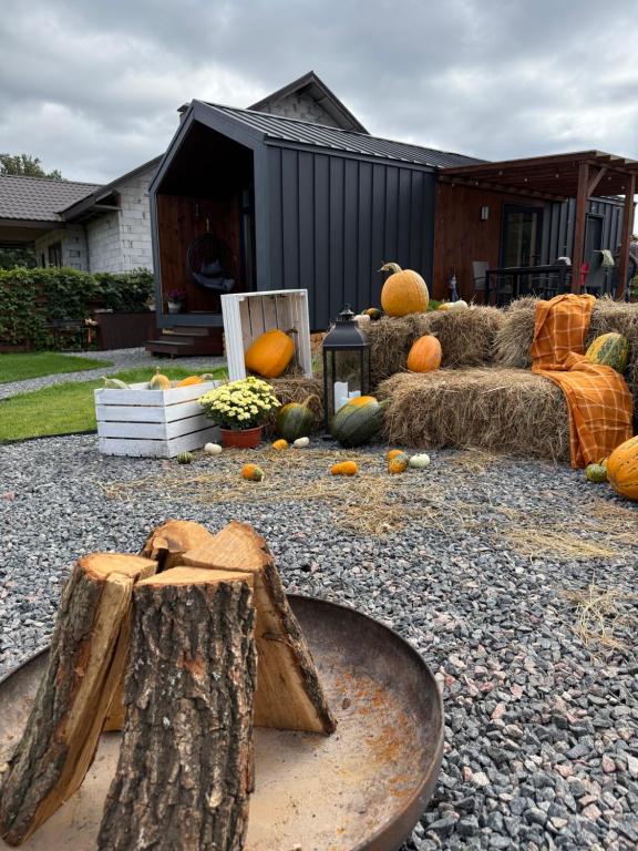 a bunch of pumpkins sitting on the ground in a yard at ForRest будинок з чаном in Moshchun