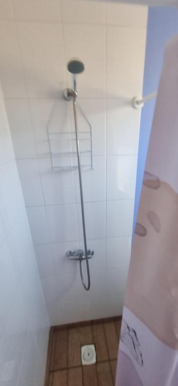 a shower in a bathroom with a white wall at cabaña elquimilen in Vicuña