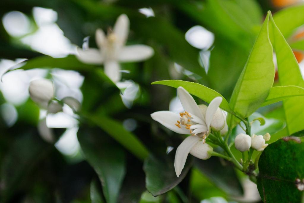 Havelock North Holiday Park - Resim 43