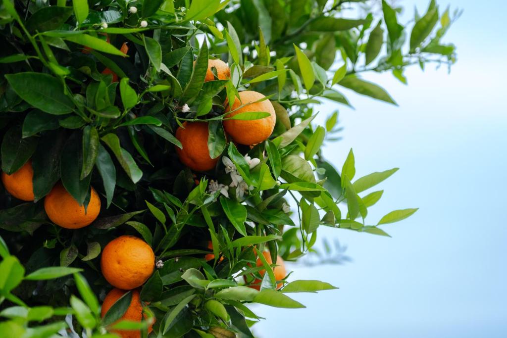 Havelock North Holiday Park - Resim 44