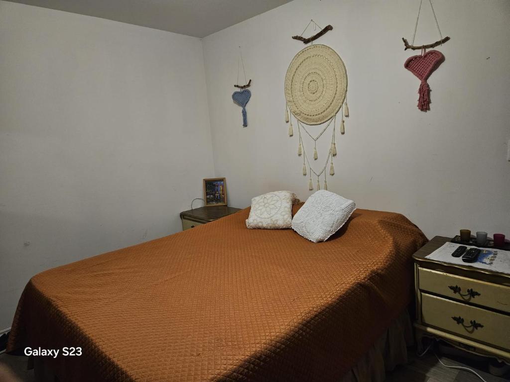 een slaapkamer met een bed met twee kussens erop bij El patio de rosy in Maldonado