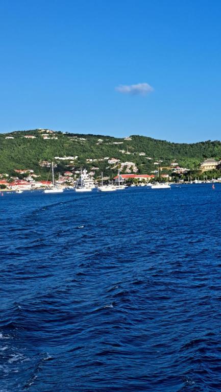 Φυσικό τοπίο κοντά σε αυτό το σαλέ