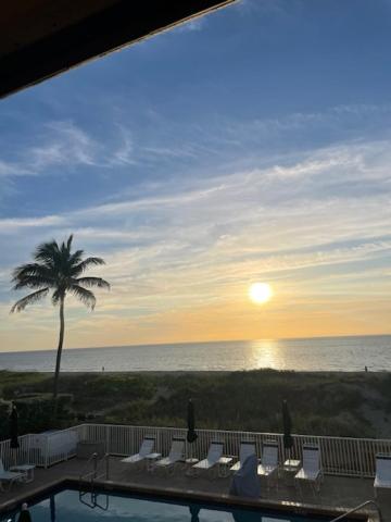 a view of a pool with a palm tree and the ocean at Beachfront Aparthotel in Deerfield Beach with Panoramic Views of the Ocean! in Deerfield Beach