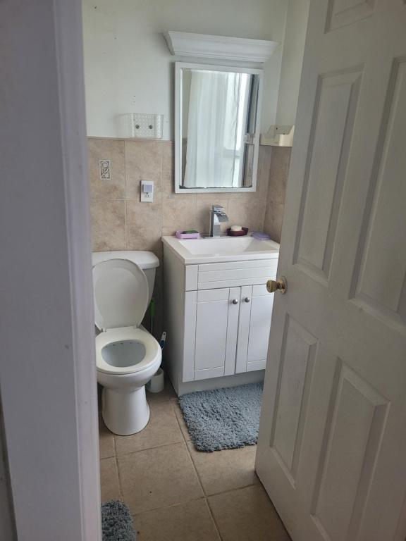 een badkamer met een toilet, een wastafel en een spiegel bij Private bathroom inside Master bedroom! in Paterson