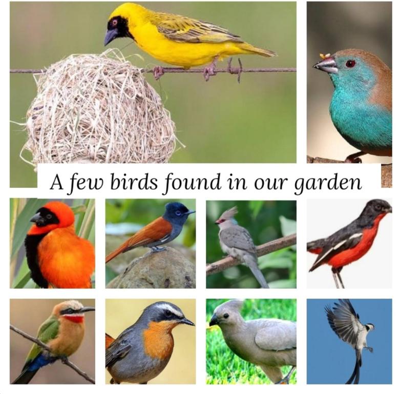 Άλλα ζώα σε αυτό το κατάλυμα σε φάρμα ή στη γύρω περιοχή