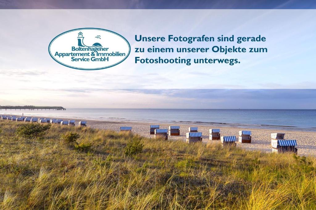 a row of beach chairs sitting on the beach at Kastanienhof Whg 07 in Boltenhagen