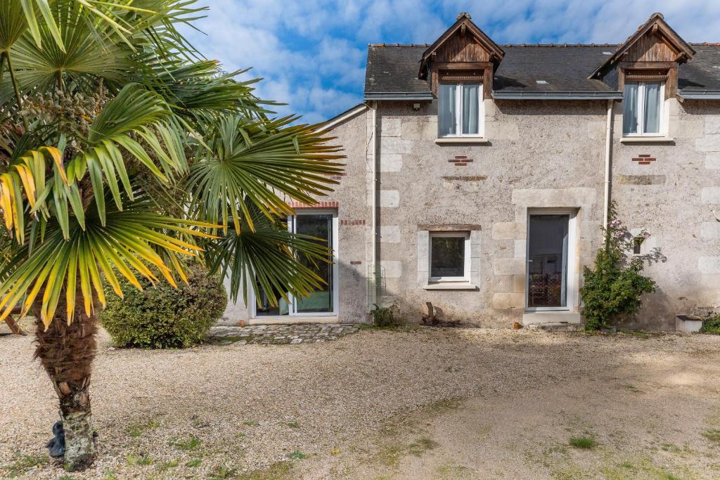 a house with a palm tree in front of it at Le Petit Montparnasse - Montrichard in Montrichard