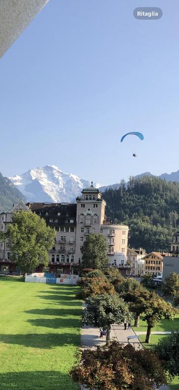 因特拉肯APARTMENT PETER的公园上空飞过一栋建筑，里面有一只鸟