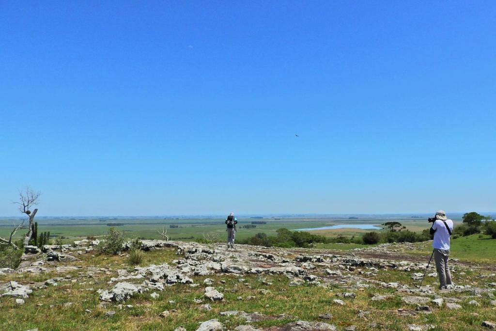 Tinambú - Paso Centurión Tours