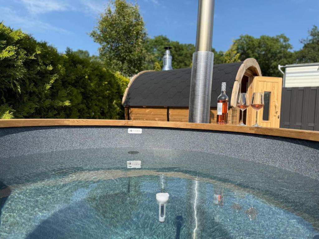 a swimming pool in front of a house at TETchalet met wellness tuin in Berkhout