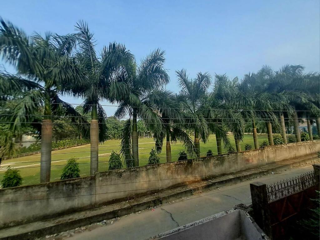 a row of palm trees behind a fence at The Happy Homestay in Nāmkom