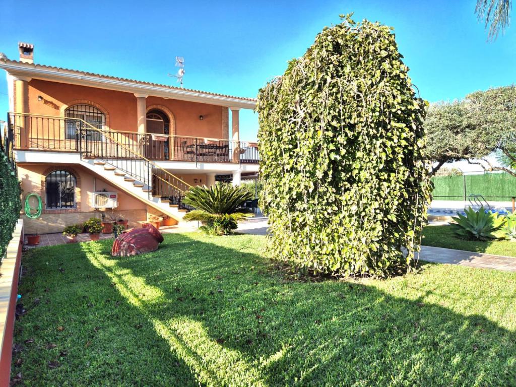 a large bush in front of a house at Villa Mónica in Orihuela