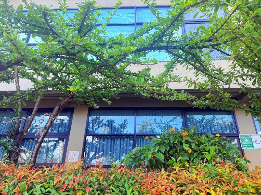 Work Den Chiangrai - Resim 2