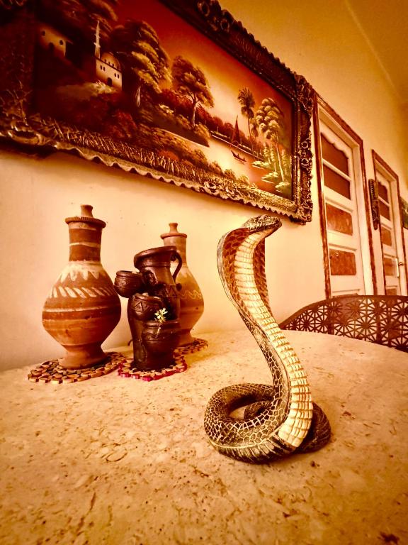 Safari Abu Simbel - 11