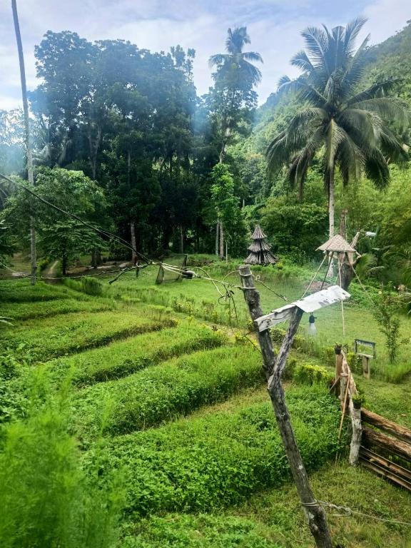 a field with a fence and a palm tree at Nuts Huts in Loboc