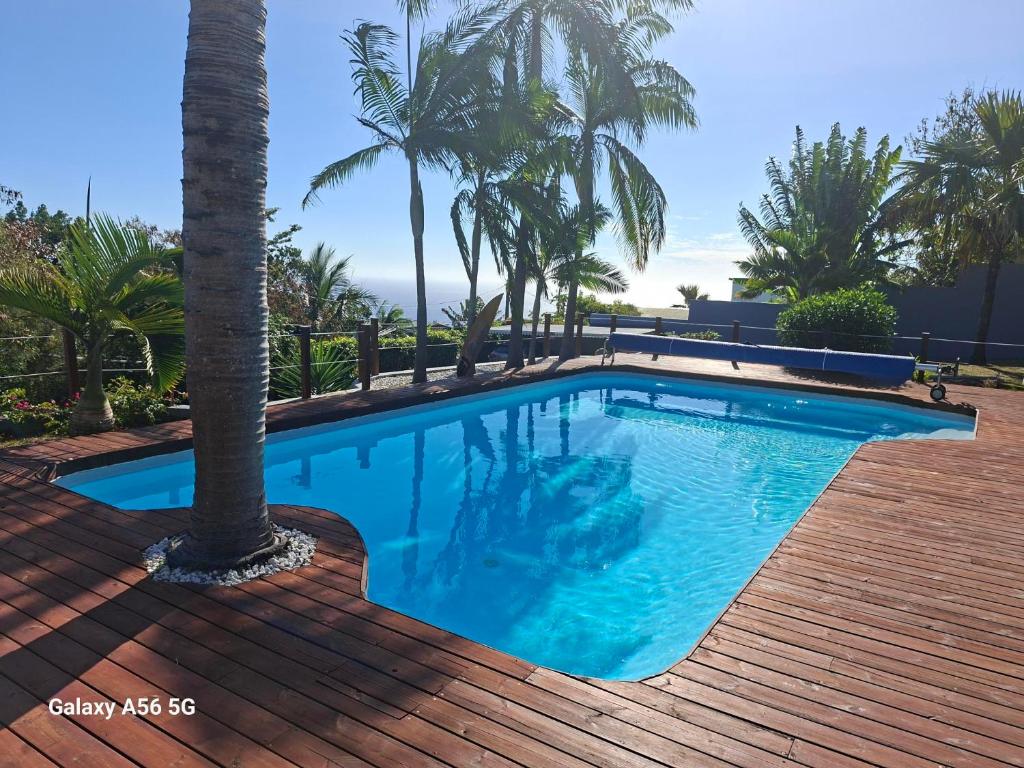 a swimming pool with a palm tree on a wooden deck at Ti kaz Orion in Les Avirons