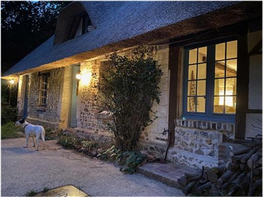 Chaumière 6-8p, 4ch, proche Honfleur في Conteville: كلب يقف خارج منزل من الطوب